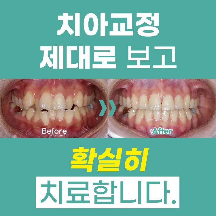 Well's Dental Clinic Gangnam