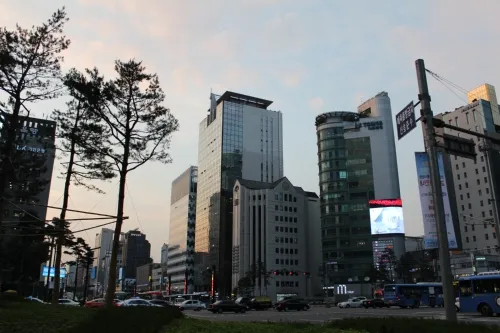 Planned Holistic Plastic Surgery Clinic