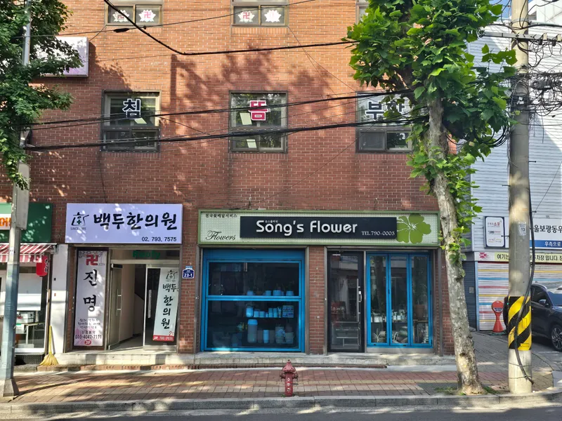 Baekdu Korean Medicine Clinic