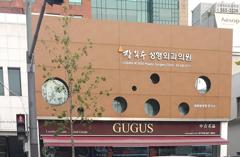 Jang Ik Su Plastic Surgery Clinic