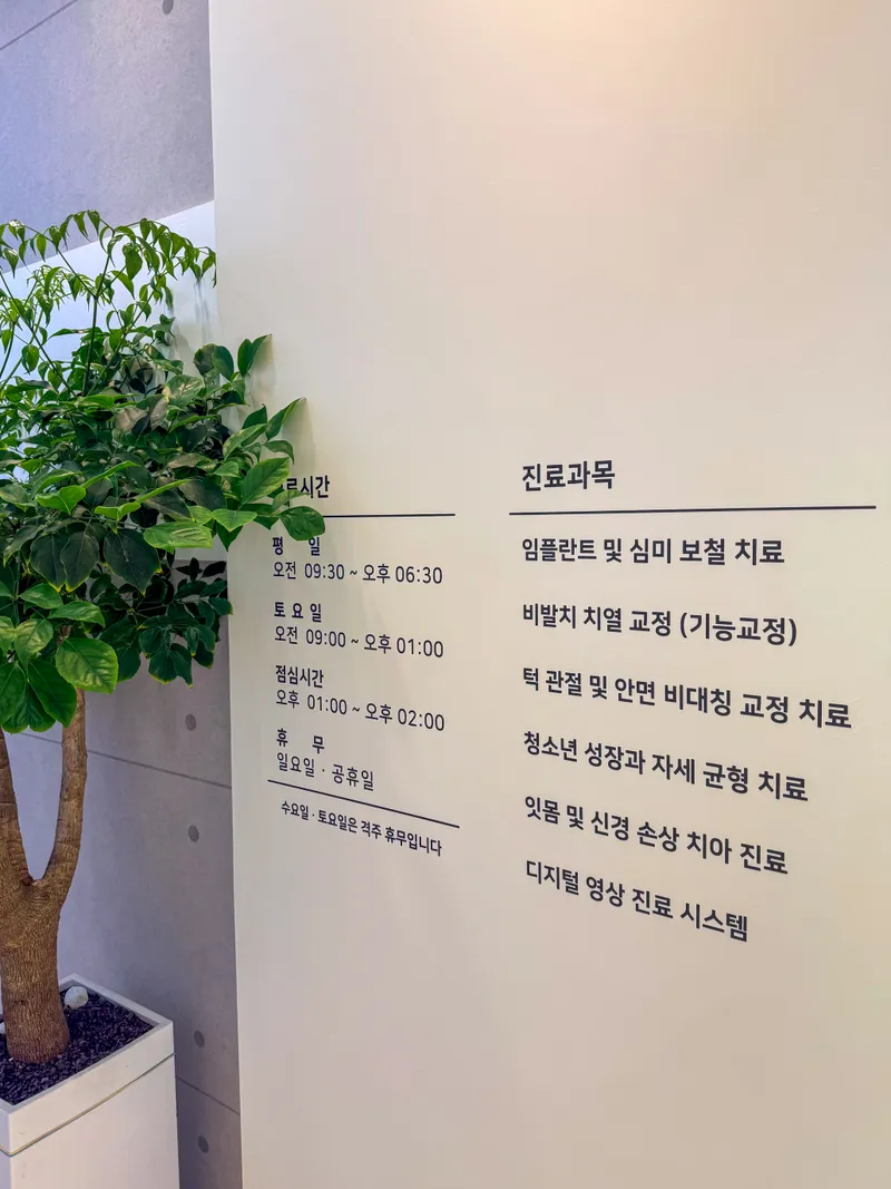 조치과의원