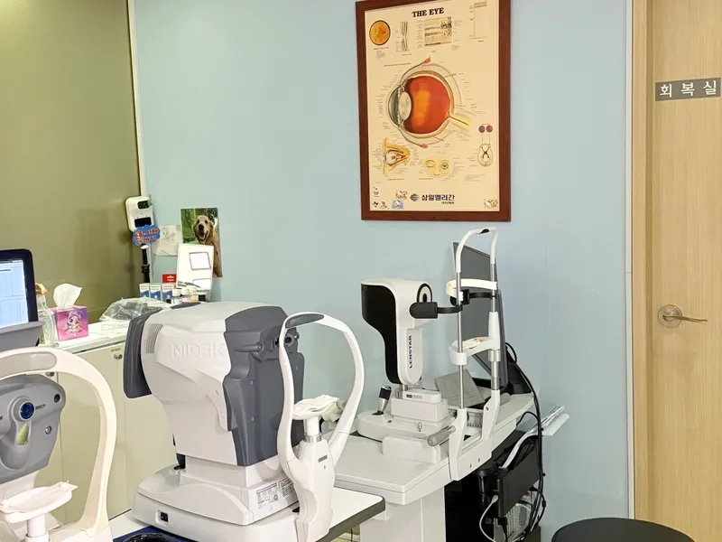 Gangnam St. Mary's Eye Clinic