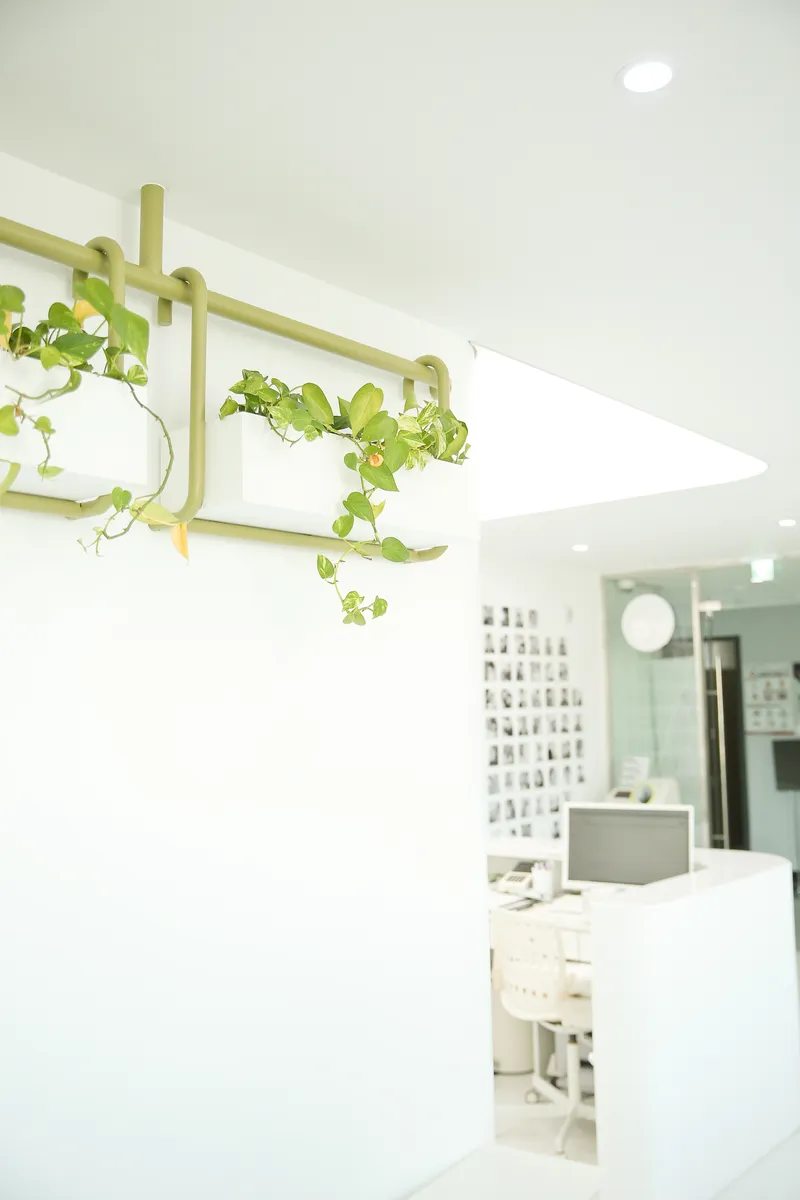 Onmam Korean Medicine Clinic