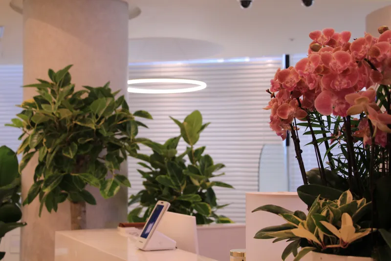 Alnwood Plastic Surgery Clinic
