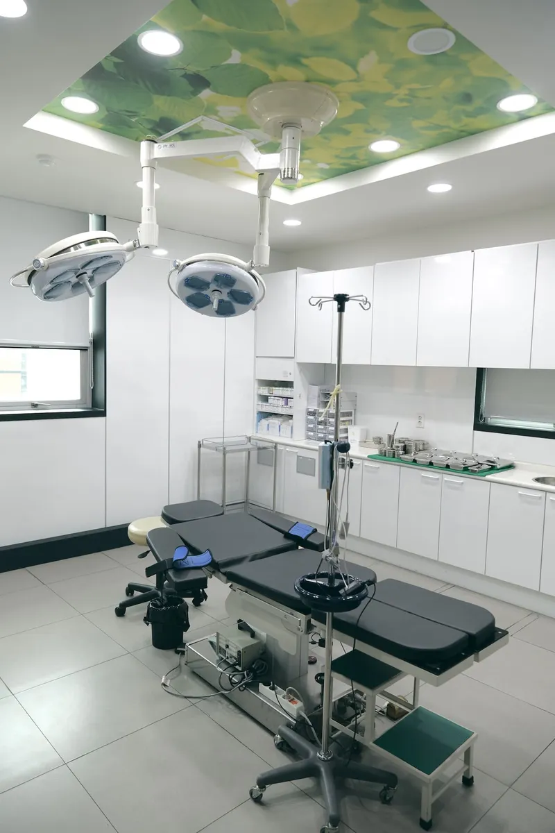 Jamie Plastic Surgery Clinic