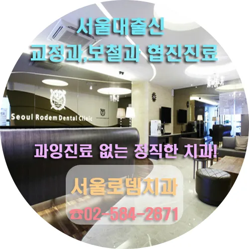 Seoul Rodent Clinic