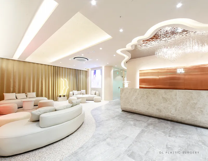 DL Plastic Surgery Clinic