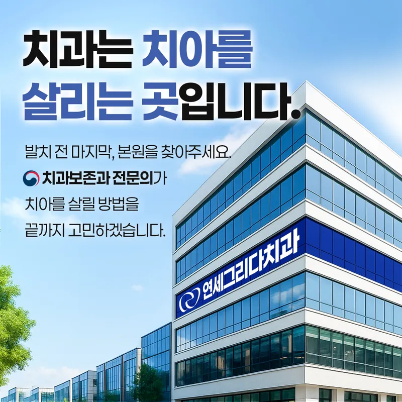 연세그리다치과의원 강동둔촌