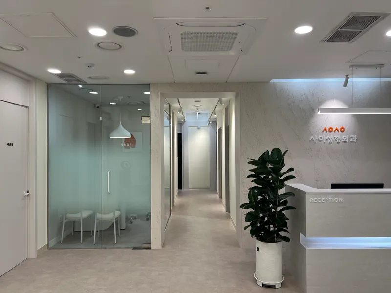 Sai Plastic Surgery Clinic