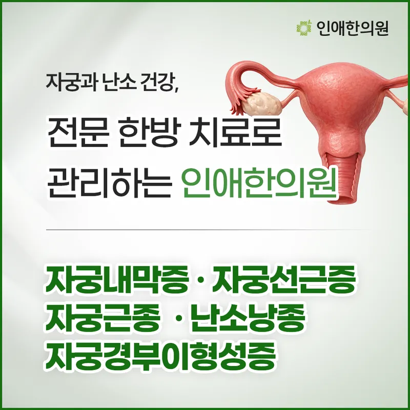 Inae Korean Medicine Clinic Gangdong