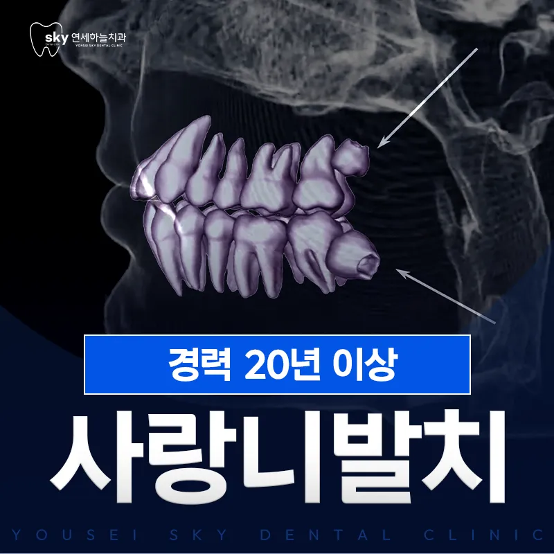 연세하늘치과의원