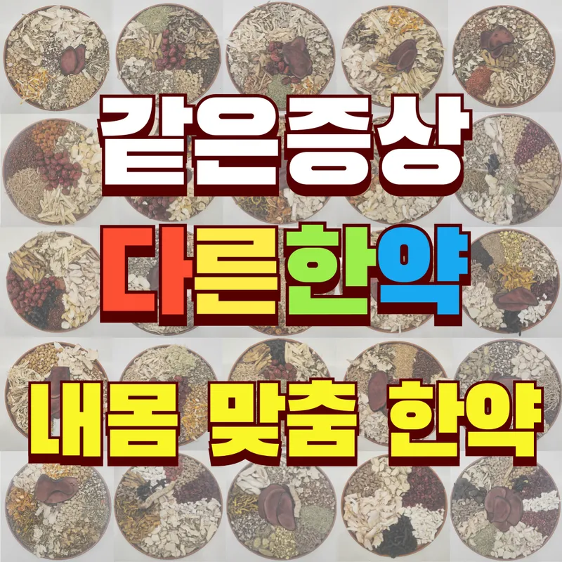 Kyunghee Korean Medicine Clinic Apgujeong