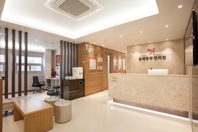 Songpa Bubu Korean Medicine Clinic