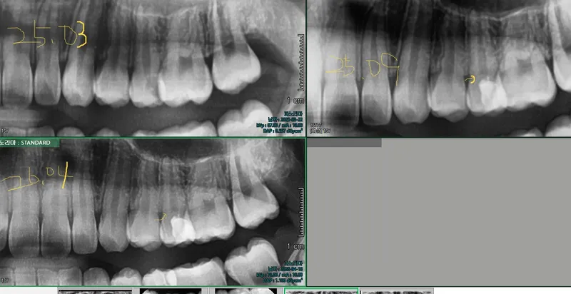 Bichi Dental Clinic