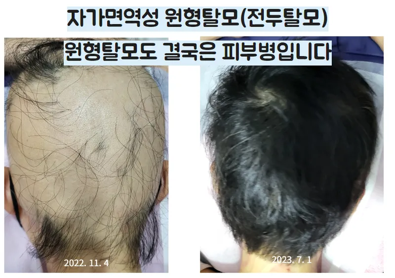 Heavenly Tree Clinic Jamsil