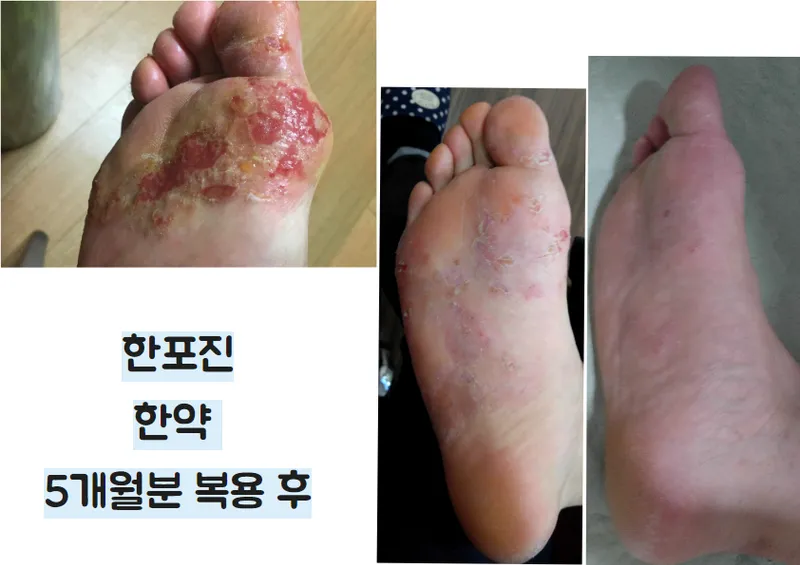 Heavenly Tree Clinic Jamsil