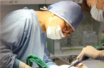 Ipo Dental Clinic