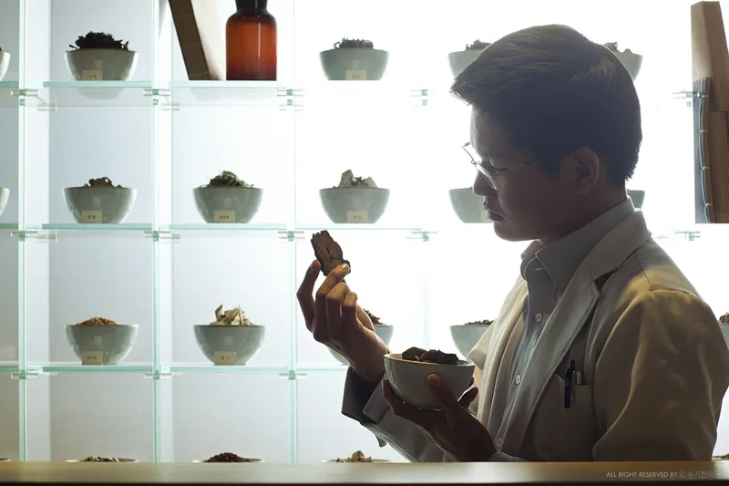 Songga Korean Medicine Clinic
