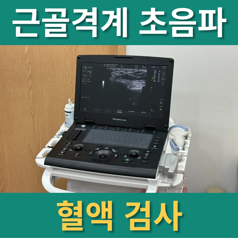 Orot Korean Medicine Clinic