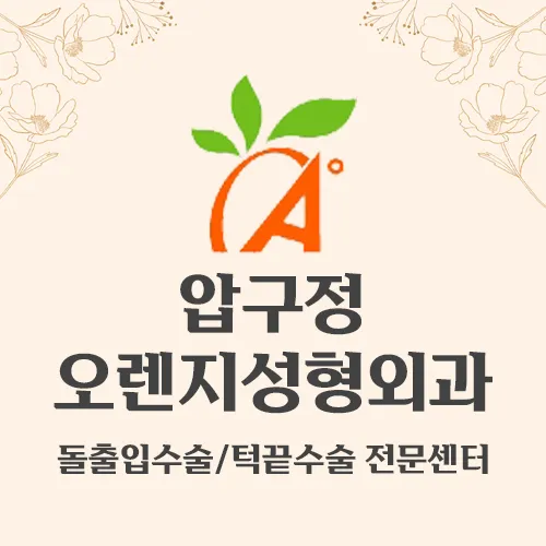 Apgujeong Orange Plastic Surgery Clinic