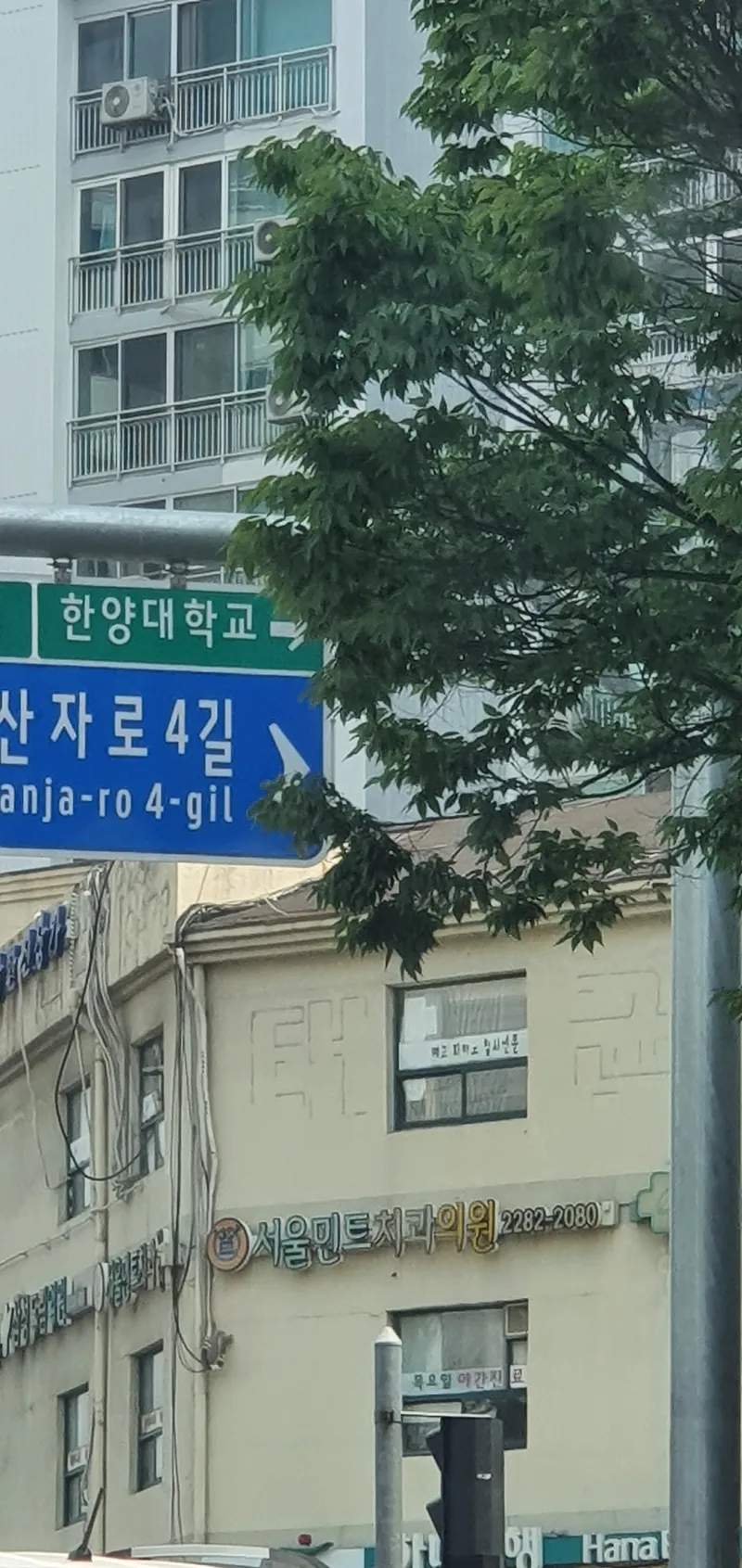 서울민트치과의원