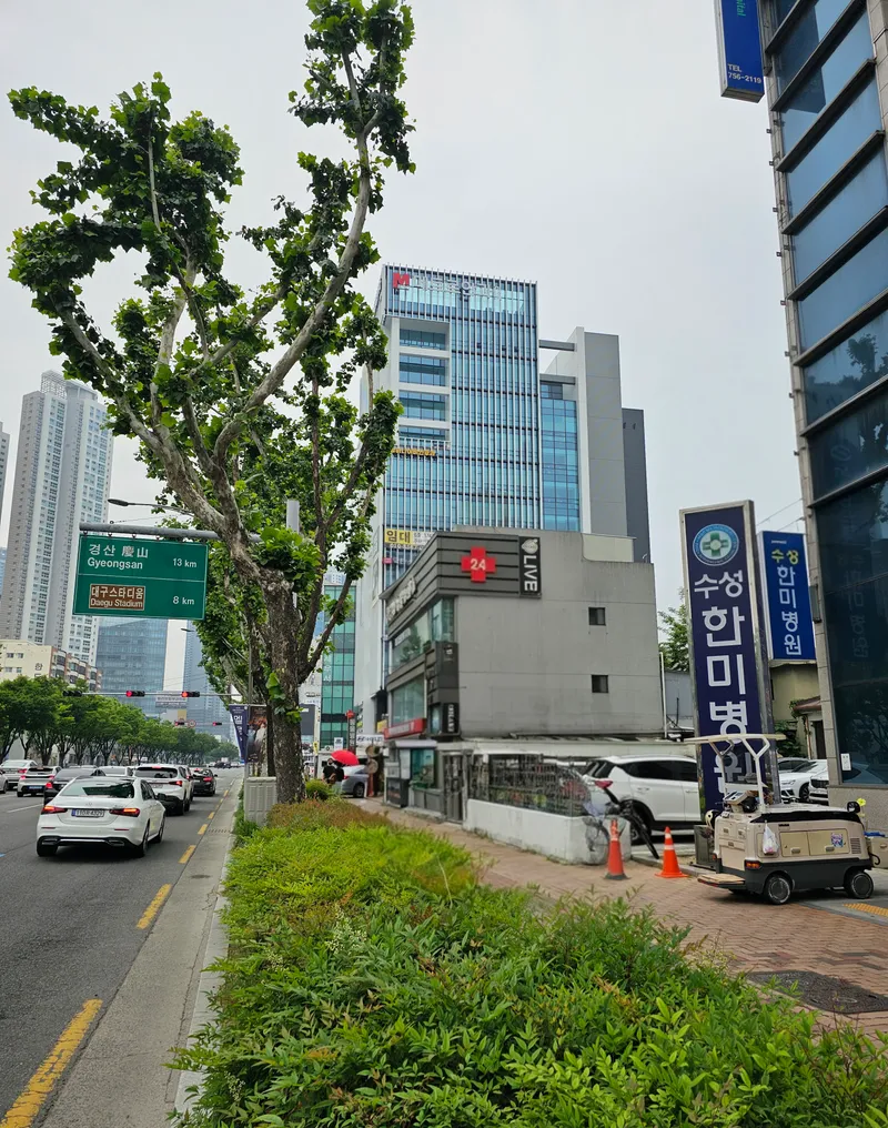Suseong Hanmi Hospital