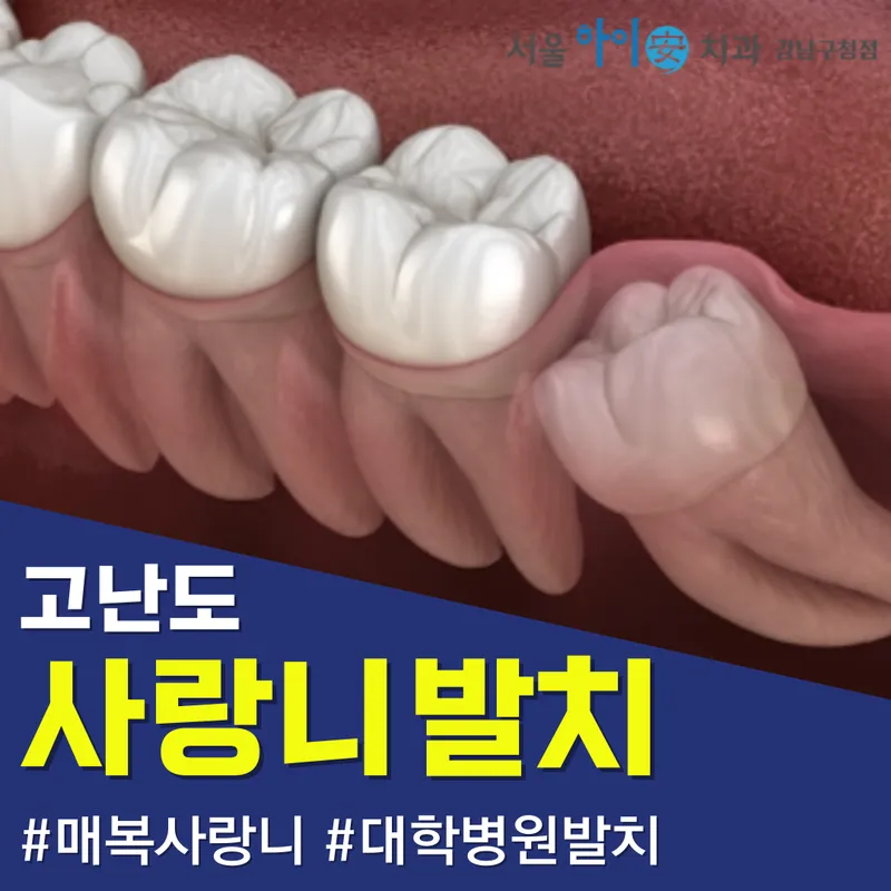 Seoul Hi An Dental Clinic Gangnam-gu Office