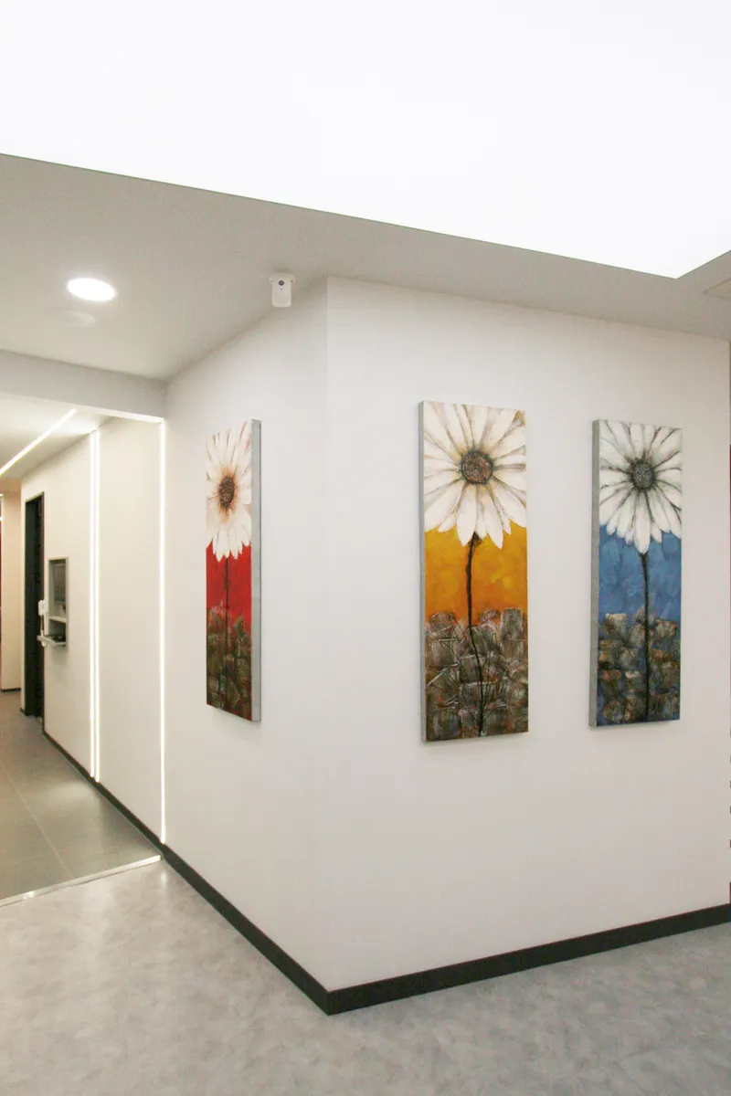 Seoul Jung Eiden Dental Clinic