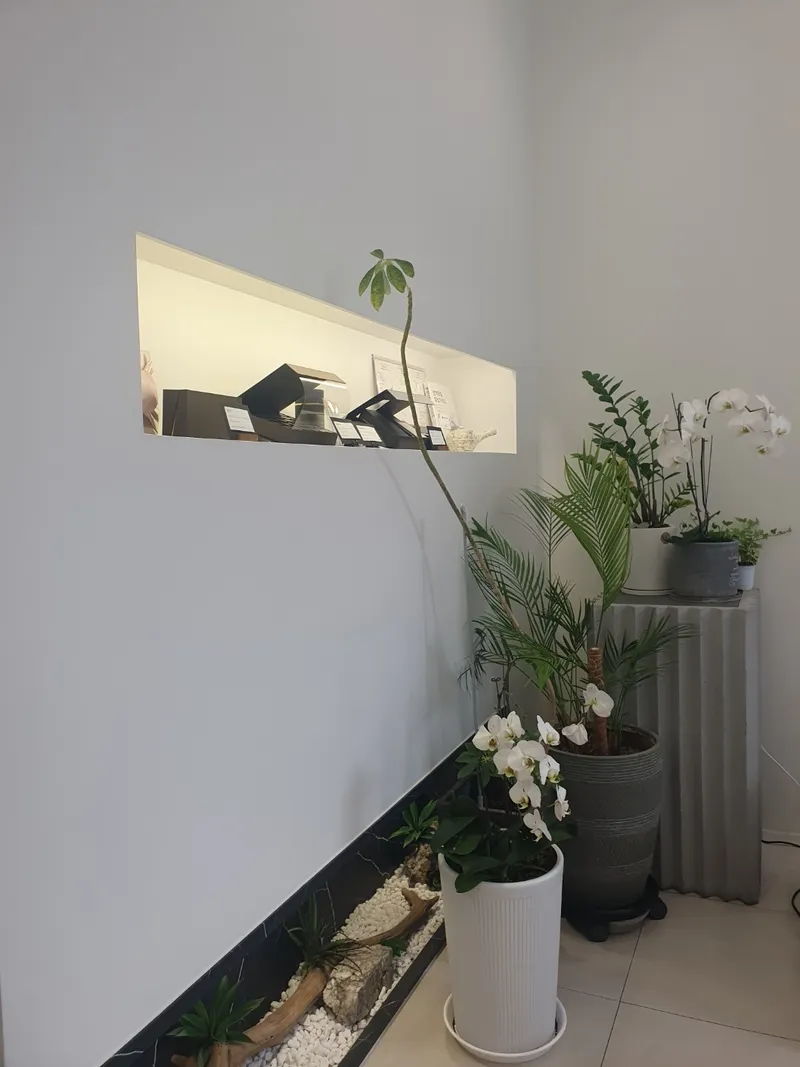 Sebo Korean Medicine Clinic