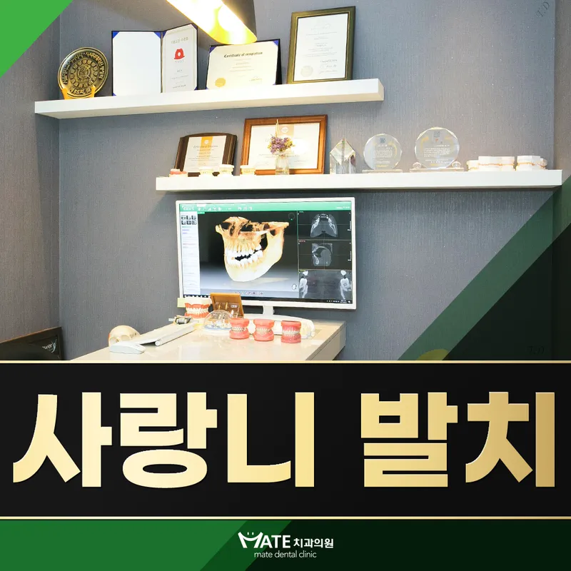 메이트치과의원