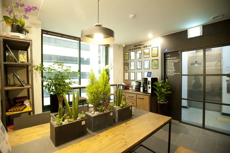 Ilum Korean Medicine Clinic
